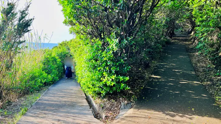 【完全ガイド】佐田岬灯台や四国最西端の観光情報！駐車場からの所要時間や絶景ポイントを解説