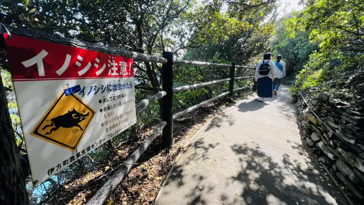 【完全ガイド】佐田岬灯台や四国最西端の観光情報！駐車場からの所要時間や絶景ポイントを解説