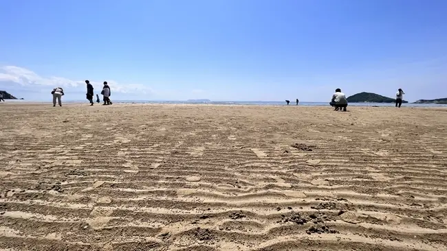 父母ヶ浜を歩いてみた感想