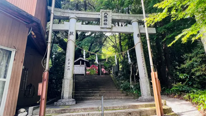杉の大杉と八坂神社 入り口