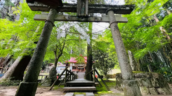 杉の大杉と八坂神社 境内