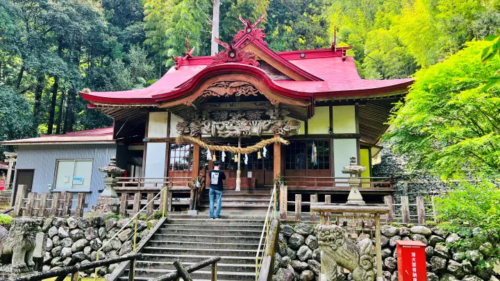 八坂神社 大豊町杉の大杉