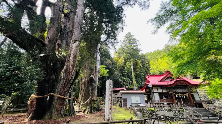 杉の大杉と八坂神社 境内