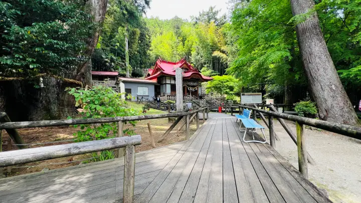 杉の大杉と八坂神社 境内 参道