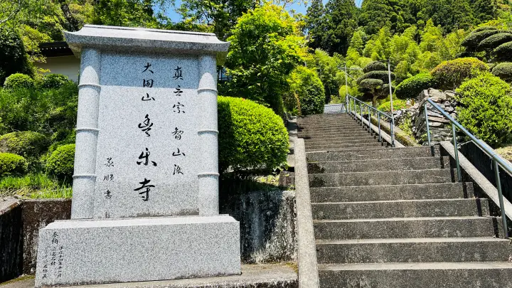豊楽寺 大豊町 薬師堂