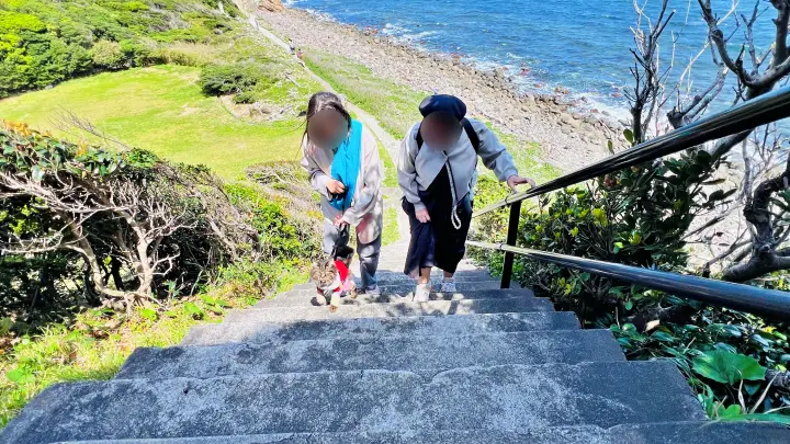 かもだ岬 遊歩道 展望台へ続く階段