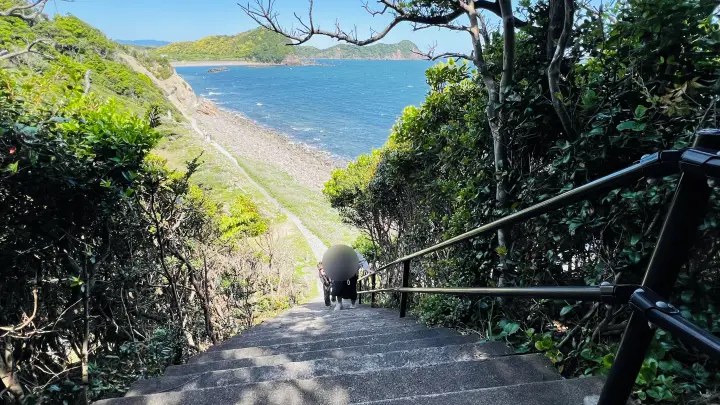 かもだ岬 展望台へと続く階段からの風景