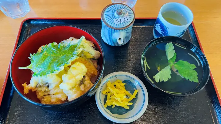 かもだ岬温泉 はも天丼定食