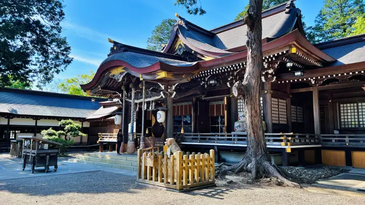 大麻比古神社 拝殿 本殿