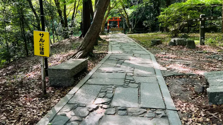 大麻比古神社 神社内の道