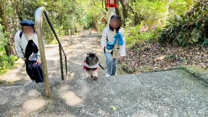 津峯神社 徒歩参拝 階段と手すり