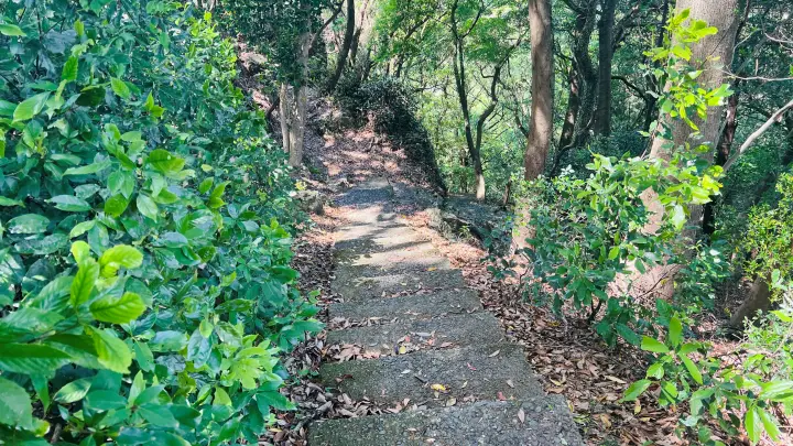 津峯神社 岩窟