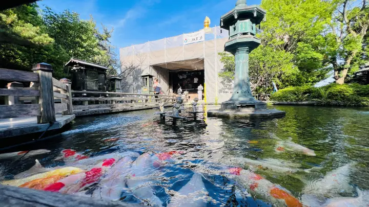 霊山寺 池の鯉と大師堂