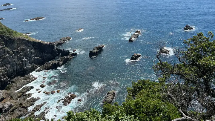 足摺岬 展望台から見る風景