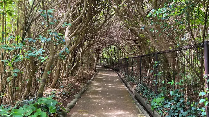 足摺岬 遊歩道