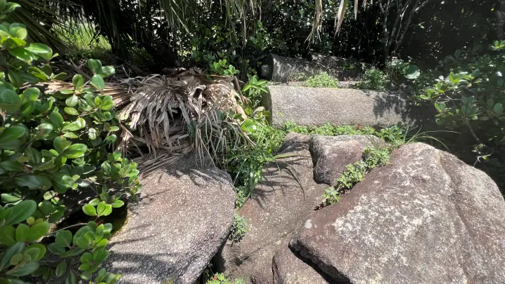 足摺岬七不思議 大師の一夜建立ならずの華表