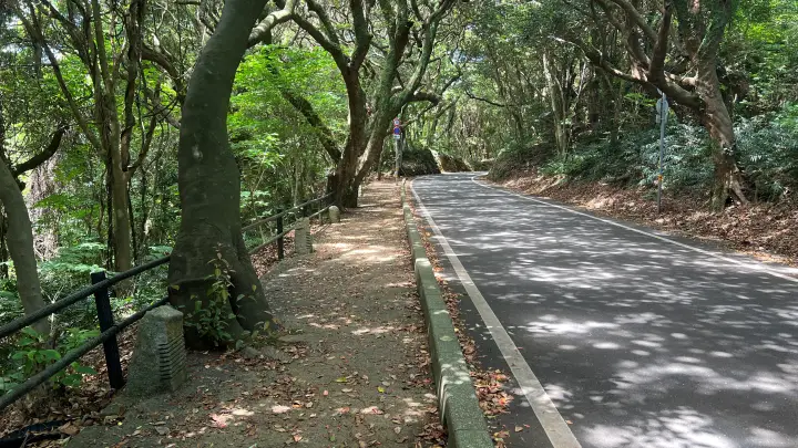 白山洞門 行き方 車道の歩道を行く