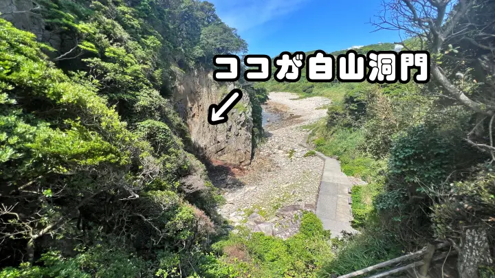 白山洞門 足摺岬の絶景スポット 日本最大級の海食洞
