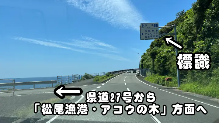 県道27号線にある「松尾漁協・アコウの木」方面の案内