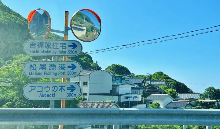 松尾漁港・アコウの木方面へ進む案内標識