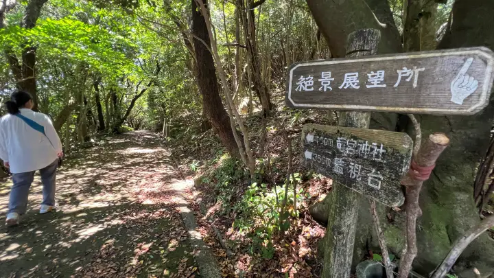 竜宮神社 遊歩道