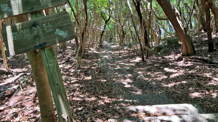 竜宮神社へ続く階段