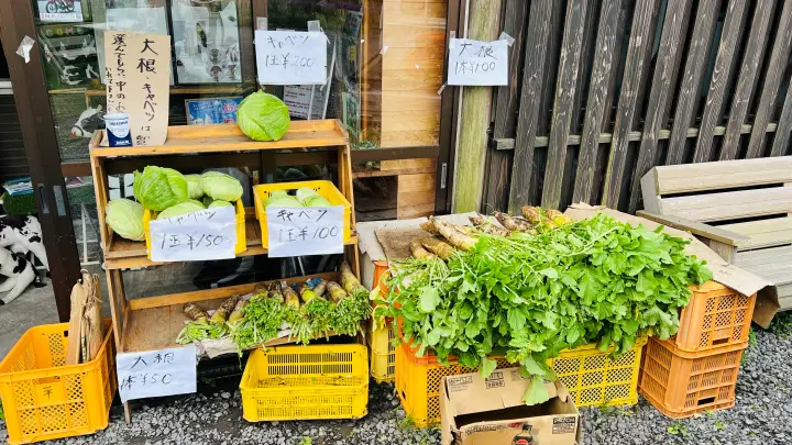 大野ヶ原ミルク園で販売されていた朝採れ高原野菜