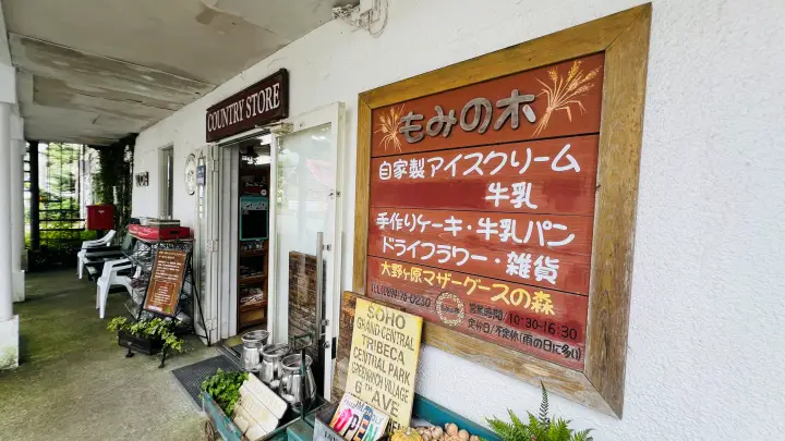 大野ヶ原もみの木