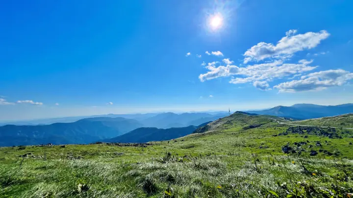 青空の下に広がる四国カルスト天狗高原の草原と石灰岩