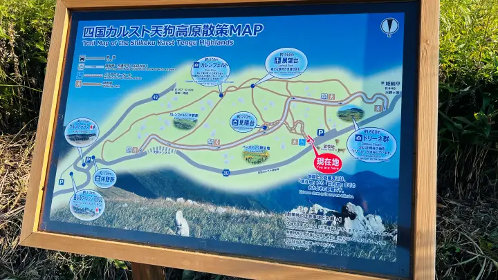 9月下旬の四国カルスト天狗高原に広がるススキ