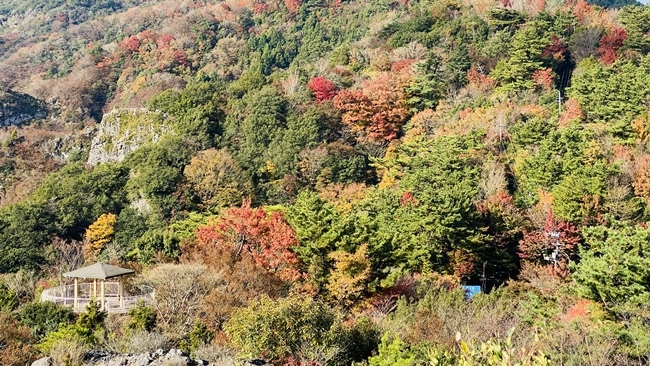 寒霞渓の紅葉が見てみたい！小豆島への行き方と紅葉の時期はいつ？