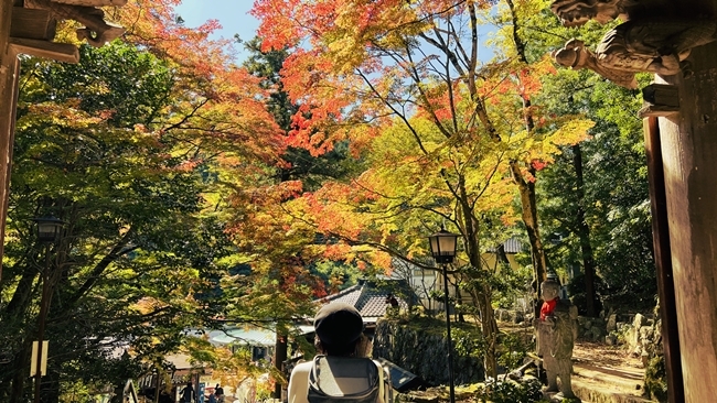 大窪寺の紅葉の見頃、名物の八十八庵で打ち込みうどん 香川県紅葉