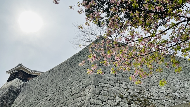 松山城へ行ってみたら難攻不落の城でリフトから見る景色も絶景